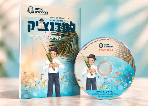 תמונה 7